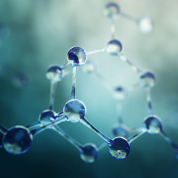 Drug Discovery Application
